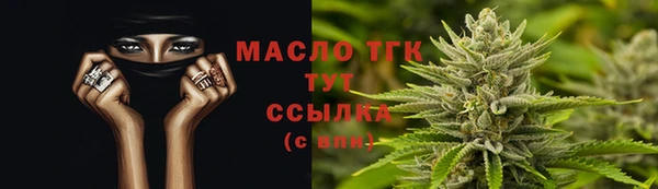 прущие грибы Бабаево