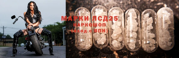 гидропоника Наволоки