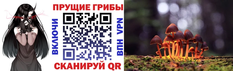 закладка  Сортавала  blacksprut как зайти  Галлюциногенные грибы GOLDEN TEACHER 